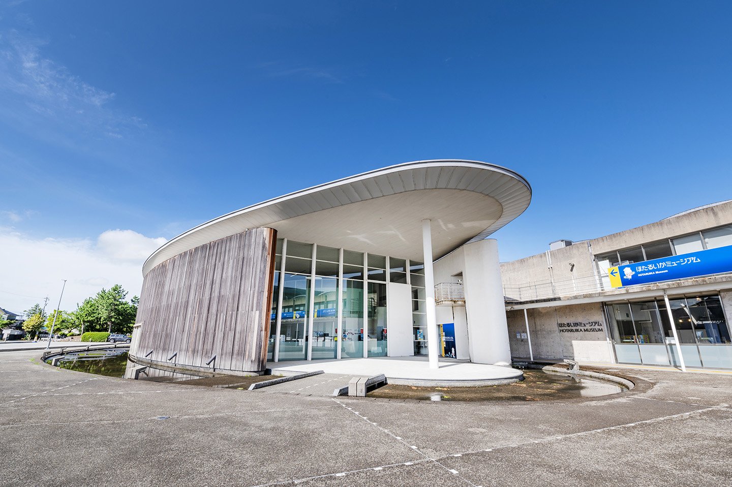 🦑 반딧불오징어 박물관(호타루이카 뮤지엄) 이미지 1